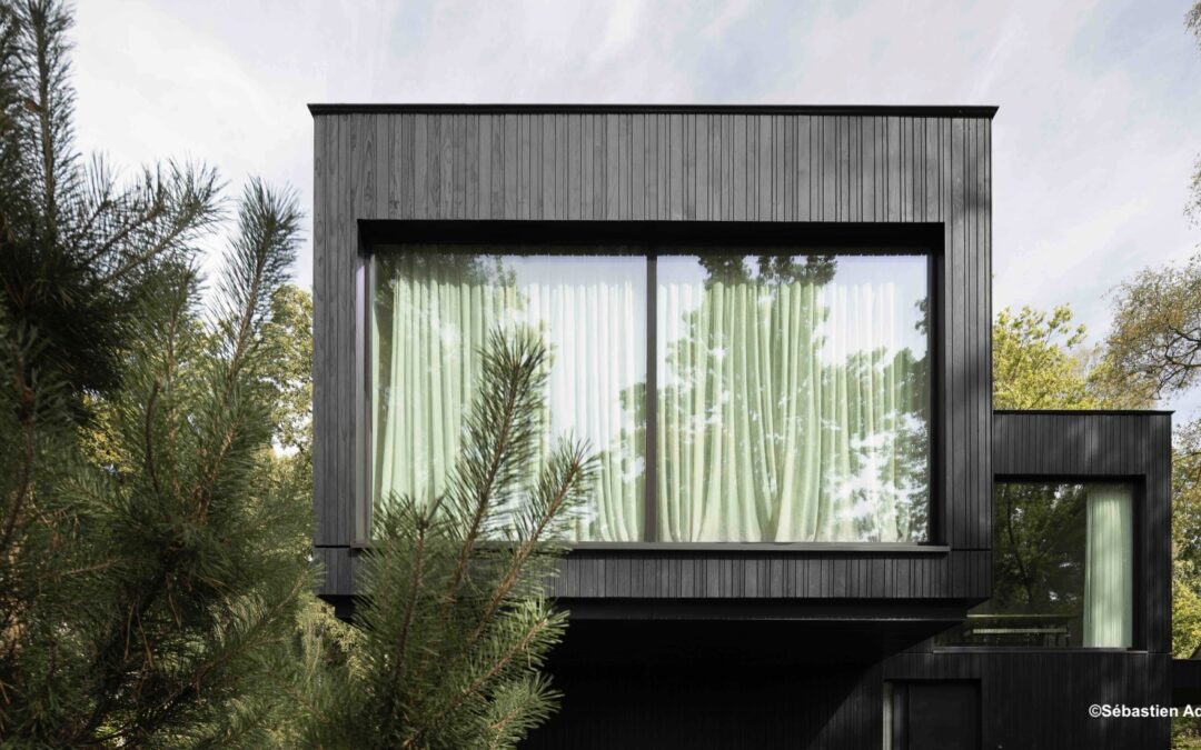 Une cabane contemporaine qui se confond avec la forêt