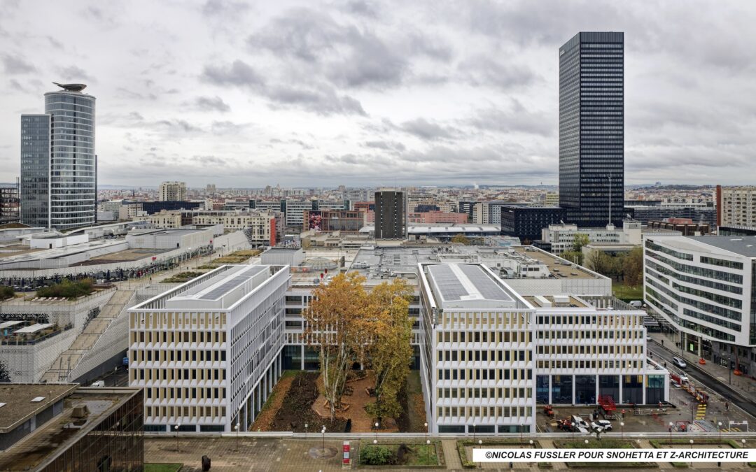 Et au milieu une allée de platanes